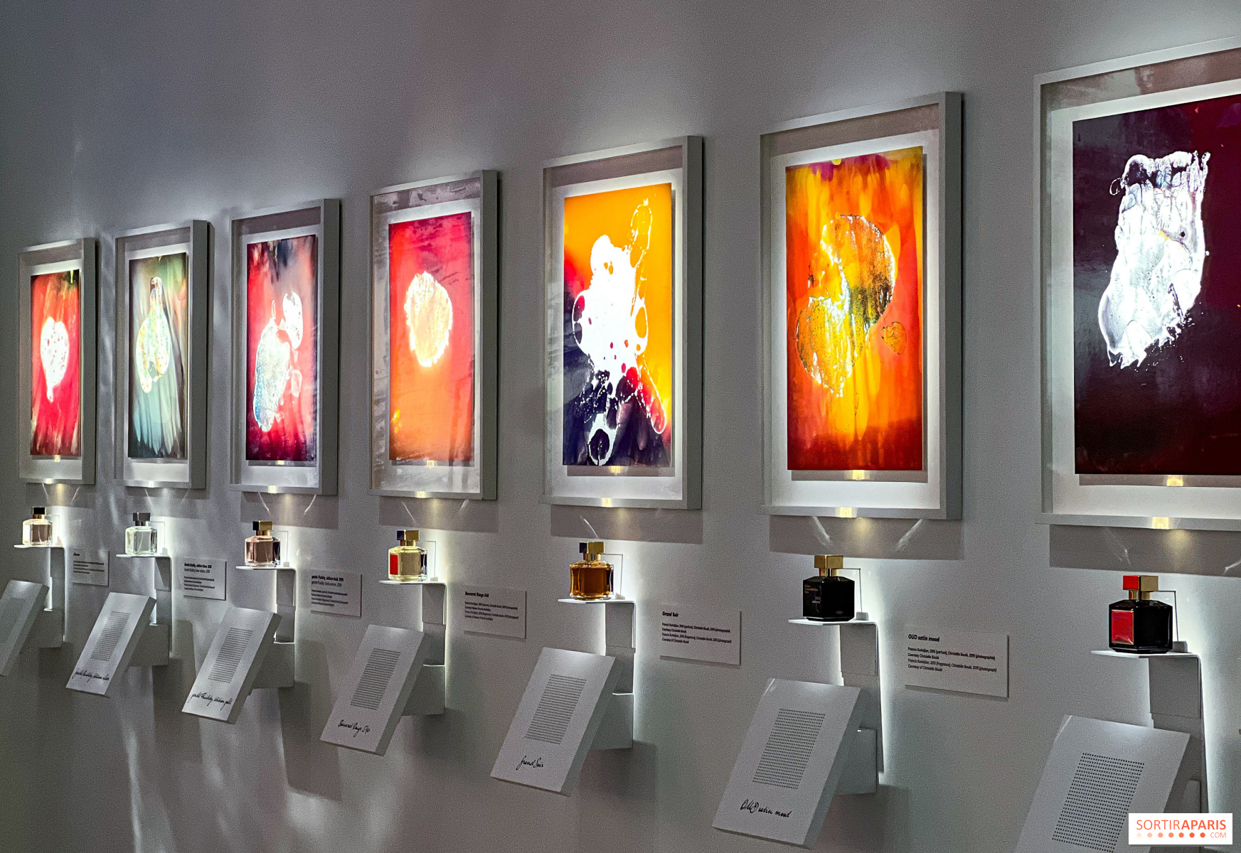 Official Opening of the International Perfume Exhibition